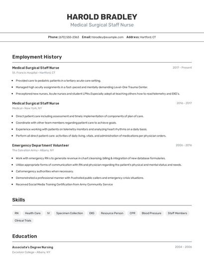 Resume example 2