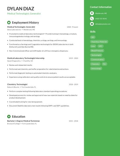 Resume example 4