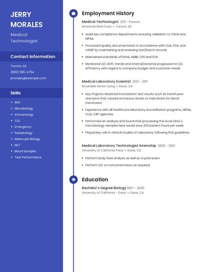 Resume example 5