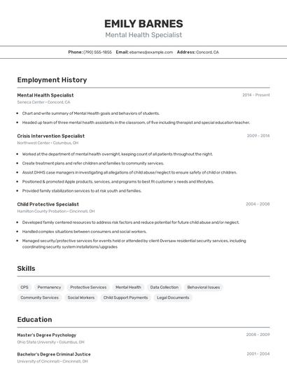 Resume example 2