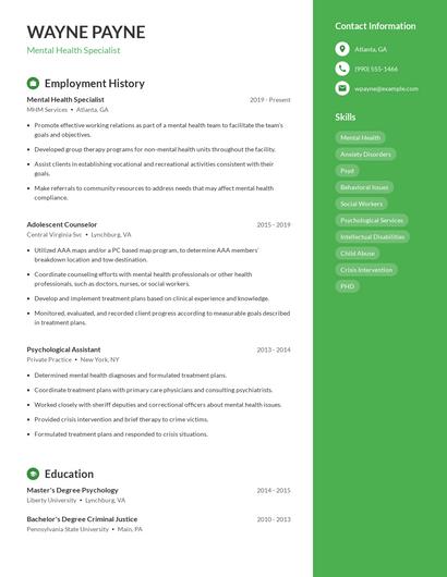 Resume example 4