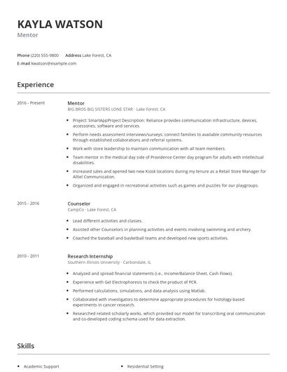 Mentor Resume