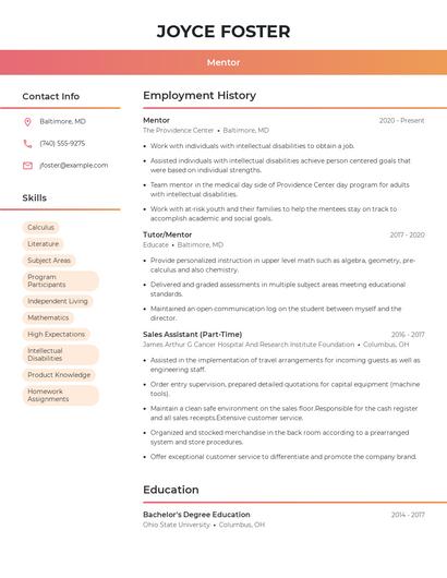 Mentor Resume