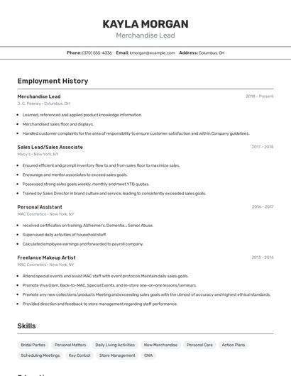 Merchandise Lead Resume