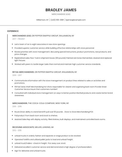 Merchandise Lead Resume