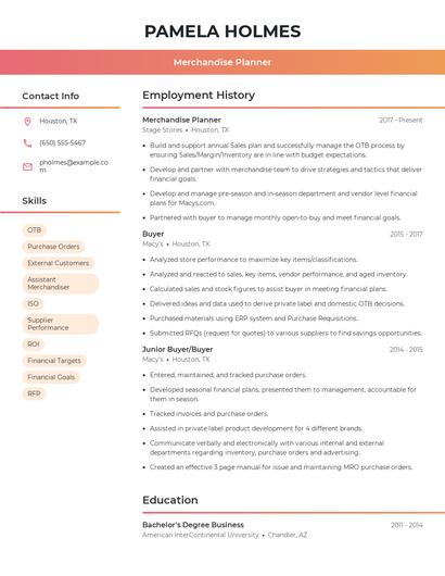 Resume example 3