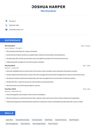 Merchandiser Resume