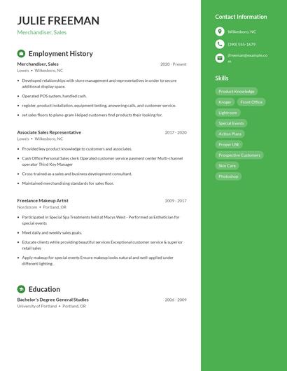 Resume example 4