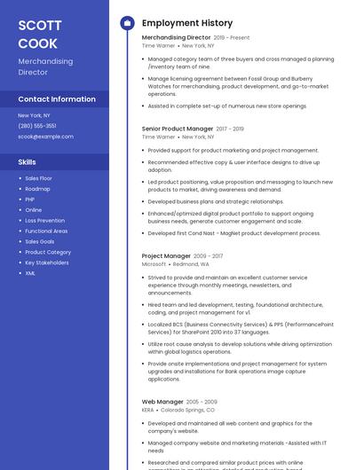 Merchandising Director Resume