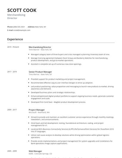Merchandising Director Resume