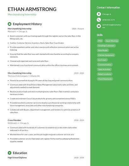 Resume example 5