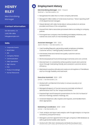 Resume example 5