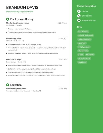 Resume example 5