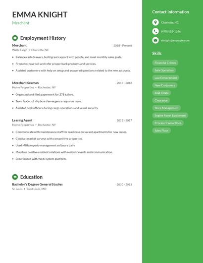 Resume example 4