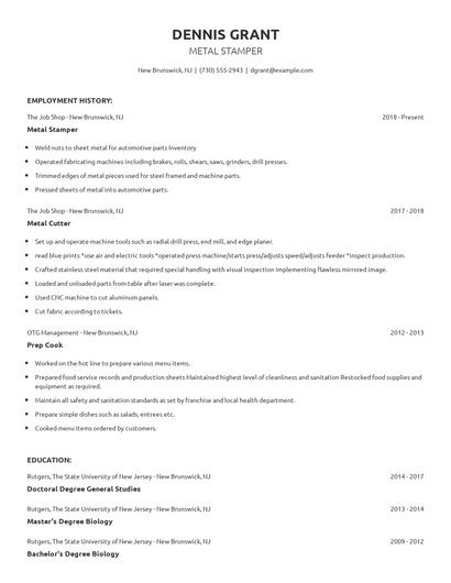 Metal Stamper Resume