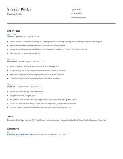 Metalizer Operator Resume