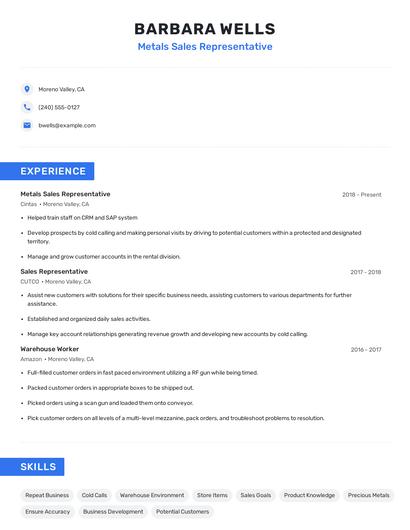 Metals Sales Representative Resume