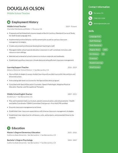 Resume example 5