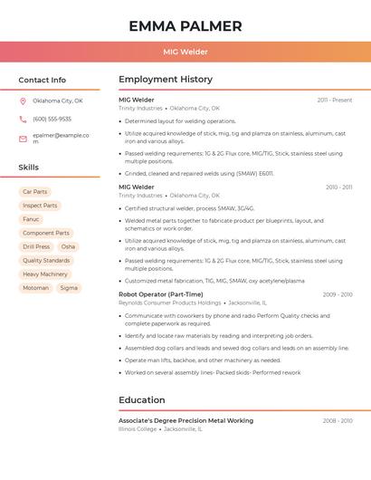 Resume example 3