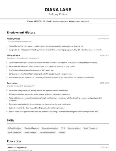 Resume example 2