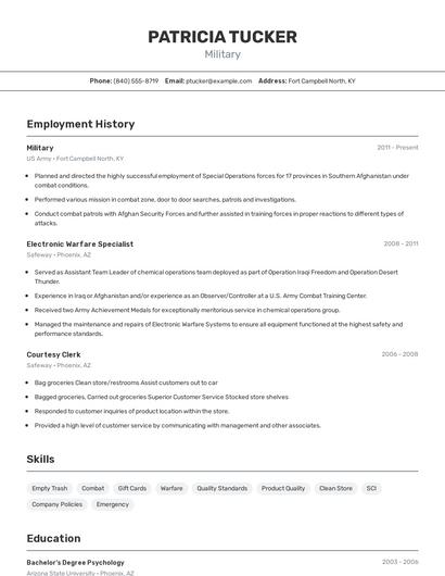 Resume example 2