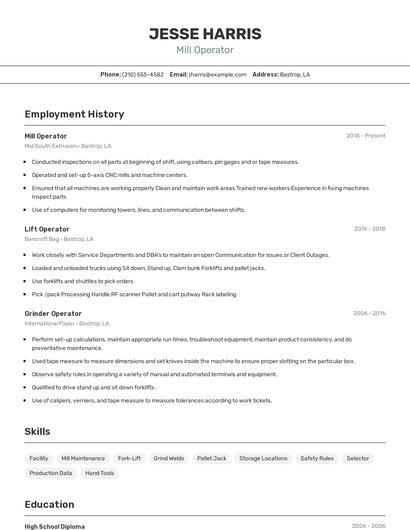 Resume example 2