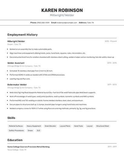 Resume example 2