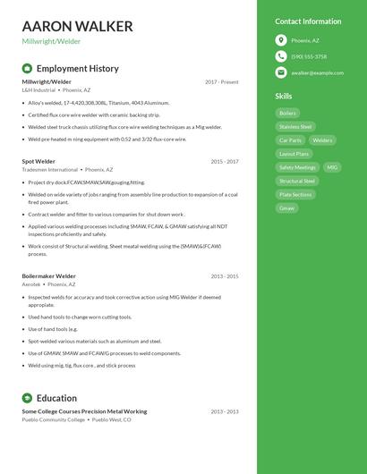 Resume example 4