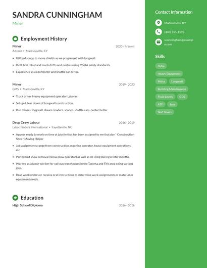 Resume example 5