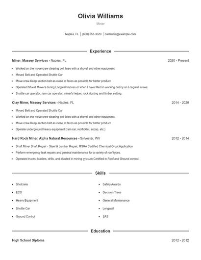 Resume example 1