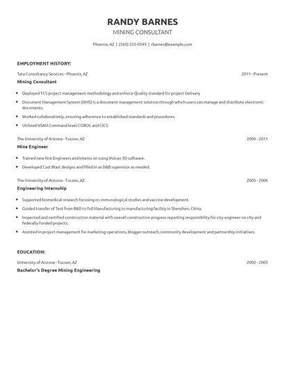 Mining Consultant Resume