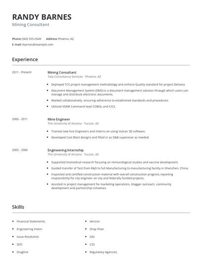 Mining Consultant Resume