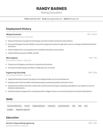 Mining Consultant Resume