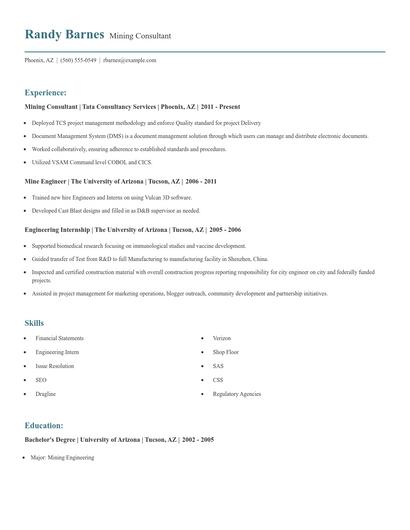 Mining Consultant Resume