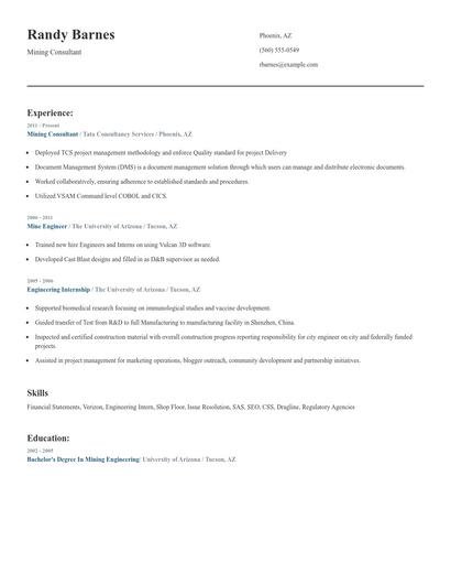 Mining Consultant Resume