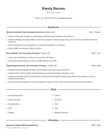 Mining Consultant Resume