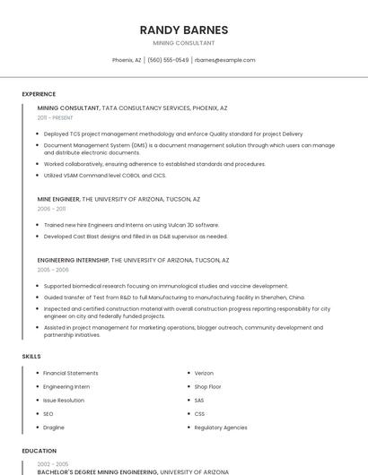 Mining Consultant Resume