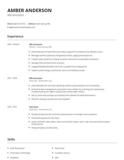 MIS Assistant Resume