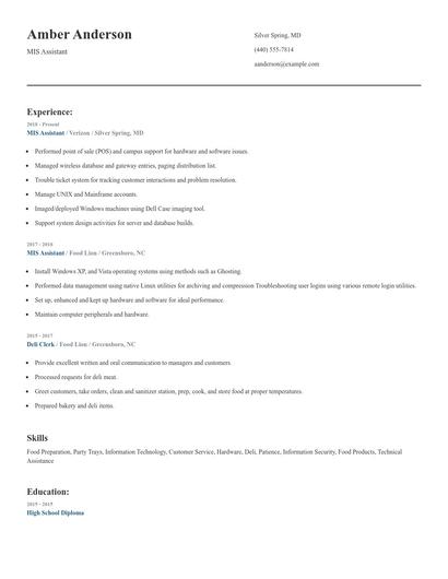 MIS Assistant Resume