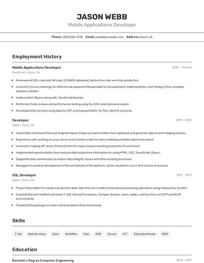 Mobile Applications Developer Resume