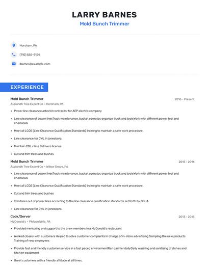 Mold Bunch Trimmer Resume