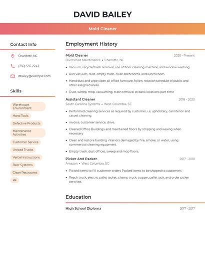 Mold Cleaner Resume