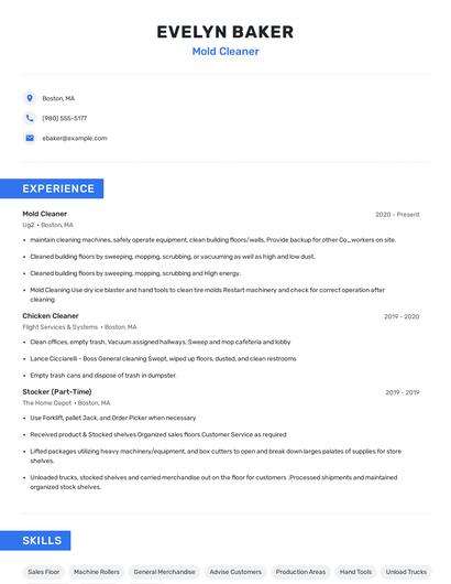 Mold Cleaner Resume