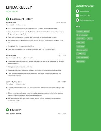 Mold Cleaner Resume