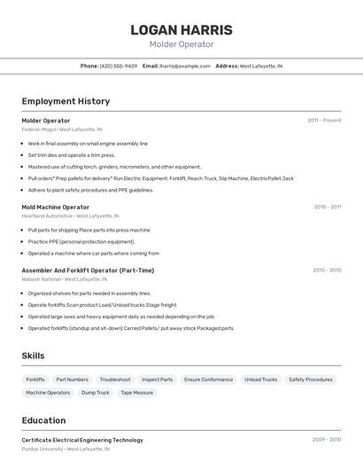 Resume example 2