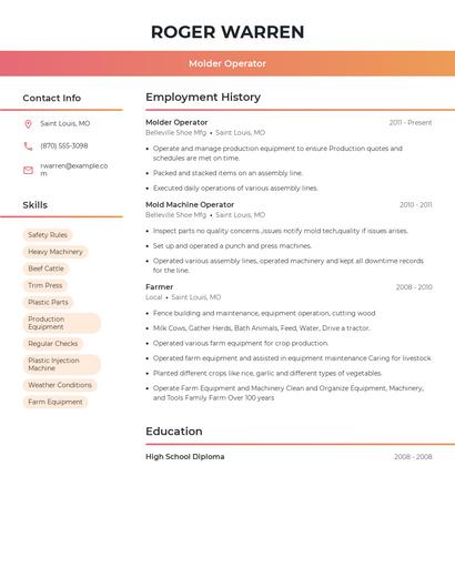 Resume example 3