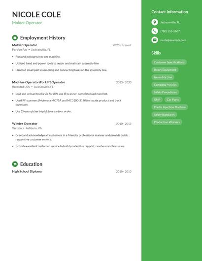 Resume example 4