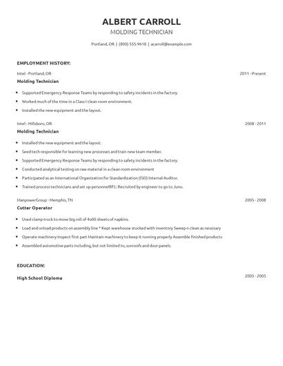 Molding Technician Resume