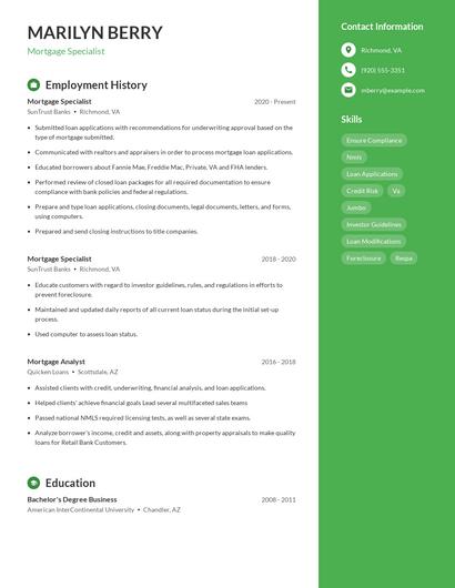 Resume example 5
