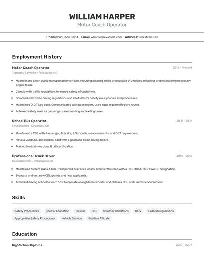 Resume example 2